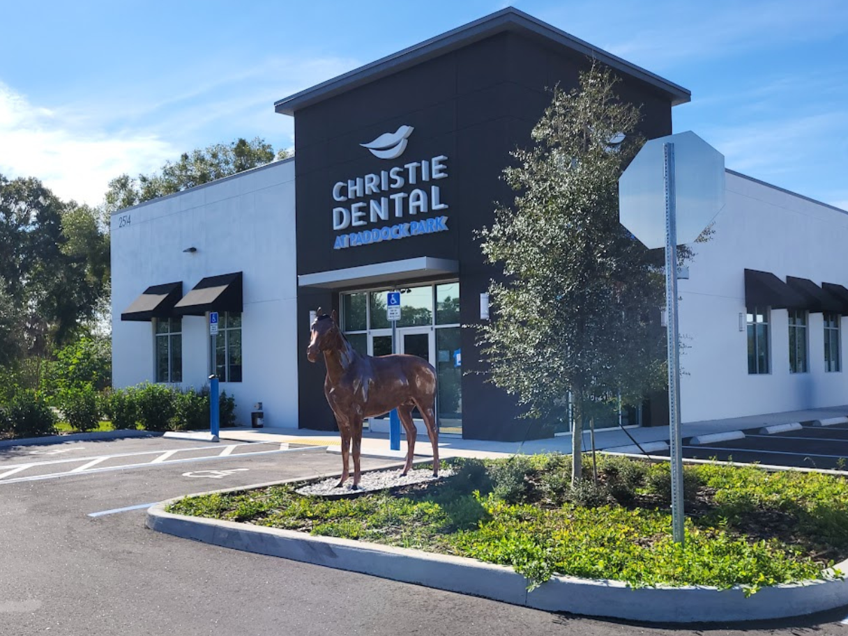 after horse installation