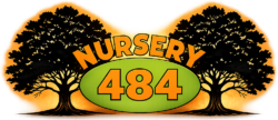cropped cropped nursery484 logo 2.png